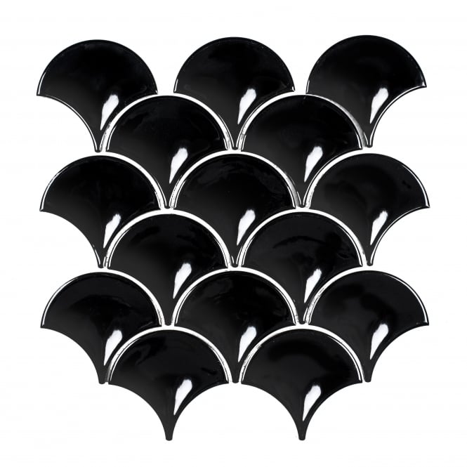 Shell Black Gloss 30.2cm x 31.5cm Wall Tile